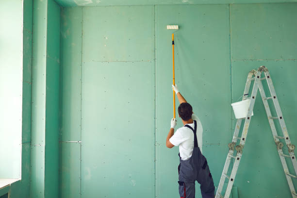 Professional Drywall & Painting Services in Oak Lawn, IL